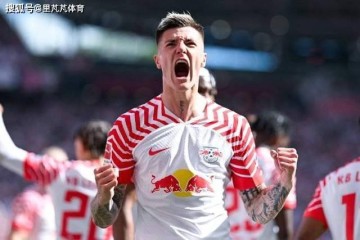 7500万购买22岁大中锋！他会是阿森纳争夺冠军路上的“最后拼图”