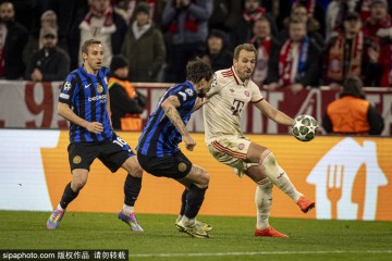 哈里·凯恩庆祝计划曝光！禁赛拜仁前锋将与队友共庆德甲冠军