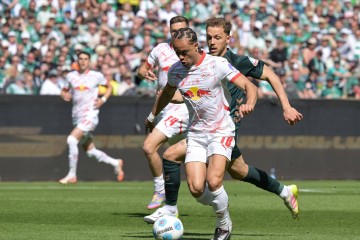 德甲终章：弗赖堡美梦落空还得拼，不莱梅化身欧冠资格和保级判官