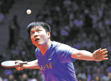 樊振东精彩活动不断!德甲门票开售即售罄,球迷热情高涨