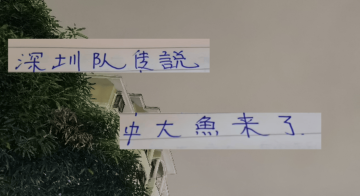 中超第29轮 申花打深圳更加难了!因为他们引进了一个英超射手