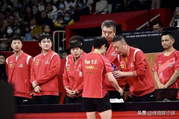 樊振东官宣加盟德甲联赛,不得不说的三个问题,陈梦会咋选呢?