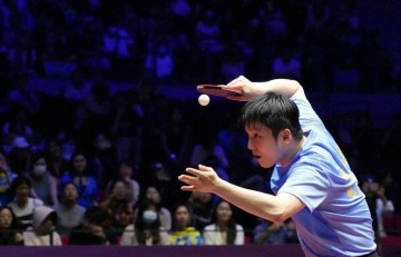 樊振东下半年真的“活”了!德甲开售立马售罄,热情根本挡不住